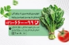 کارت ویزیت سبزی آماده طبخ شامل عکس اسفناج