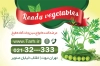 کارت ویزیت لایه باز سبزی آماده شامل وکتور سبزیجات جهت چاپ کارت ویزیت سبزیجات آماده طبخ