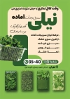 طرح تراکت خام سبزی آماده شامل عکس سبزیجات