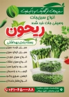 طرح تراکت خام سبزی آماده شامل عکس سبزیجات