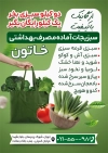 طرح تراکت خام سبزی آماده شامل عکس سبزیجات