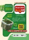 طرح تراکت سبزی آماده شامل عکس سبزیجات
