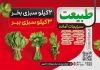 طرح تراکت خام سبزی آماده شامل عکس سبزیجات