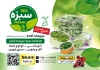 طرح تراکت خام سبزی آماده شامل عکس سبزیجات