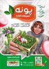 طرح تراکت خام سبزی آماده شامل عکس سبزیجات و فرمت psd و قابلیت ویرایش