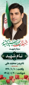 طرح بنر سنگ قبر مرحوم شامل خوشنویسی شهیدان چون پرستو پر کشیدند