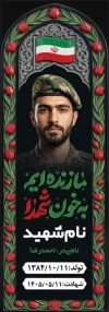 طرح بنر سنگ قبر شهدا شامل خوشنویسی شهیدان ما زنده ایم به خون شهدا