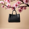 عکس حرفه ای کیف و کفش