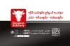 کارت ویزیت قصابی شامل عکس گوشت