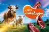 کارت ویزیت لایه باز قصابی شامل عکس گوشت