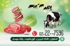 طرح کارت ویزیت سوپر پروتئینی و گوشت شامل وکتور گاو جهت چاپ کارت ویزیت محصولات پروتئینی و گوشت