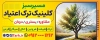 طرح بنر خام مرکز ترک اعتیاد شامل عکس درخت