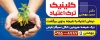 طرح بنر بیلبورد مرکز ترک اعتیاد شامل عکس جوانه گیاه