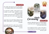 کاتالوگ خام تشریفات مجالس با عکس اکسسوری عروسی با قابلیت شخصی سازی
