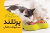کارت ویزیت خام پت شاپ قابل ویرایش شامل عکس سگ و گربه جهت چاپ کارت ویزیت فروش لوازم حیوانات خانگی