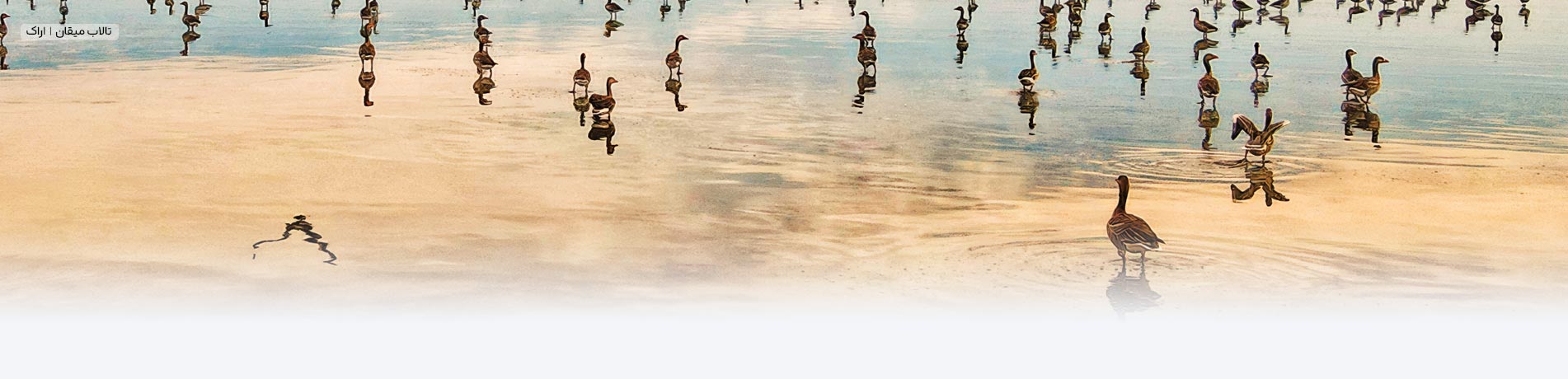 تصویر بنر اصلی سایت طرح دات آی آر